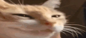 NYEHEHEHE emote