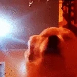 dogjamdisco emote