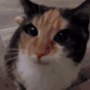 MySillyReaction emote