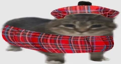 szkotik emote