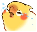 birbcrying emote