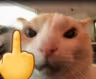 CatMiddleFinger emote