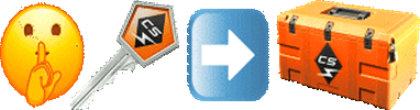 justputthekeyinacase animated emote