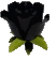 rose_black emote