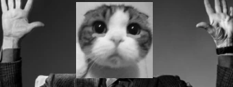 BINEMA emote