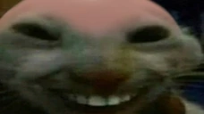 xddbald emote
