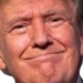 trumpprobablynot emote