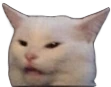 confusedCat emote