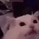 flashbang emote