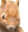 NutJam emote