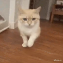uuhArrive emote