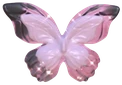ButterflyWings emote