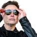 elonsunglasses static emote