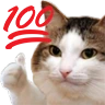 kiisu_hundredpercent emote