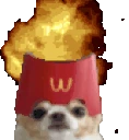 DogExplode emote