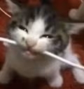 cable emote
