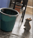 imTrash animated emote
