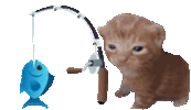 fishbert emote