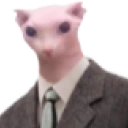 bingusbusiness emote