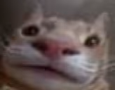 hungry emote