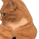 CatMew animated emote