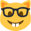 nerdyahhcat emote