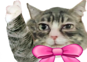 hesRight static emote