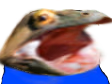 peepoHype emote