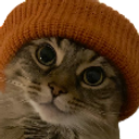 CatInABeanie static emote