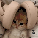 catListening emote