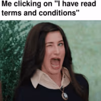 themsandconditions0 emote