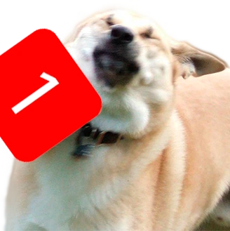 ping emote