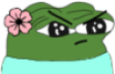 angy static emote