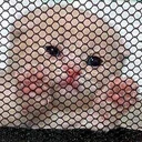 smolCrimes emote