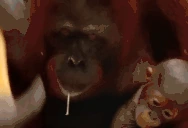LINUXING animated emote