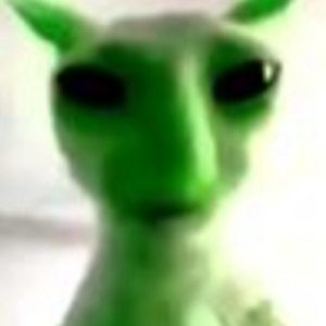 kochayuyo avatar