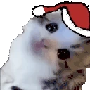 erm emote
