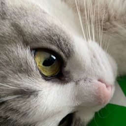 adam_2423 avatar