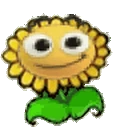 sunflaga emote