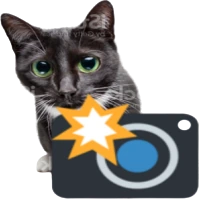 cameracat emote
