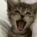 yawn emote