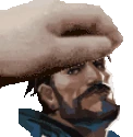 PETTHEHARBOR emote