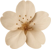 Beigesakuraflower emoji
