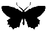 2 static emote