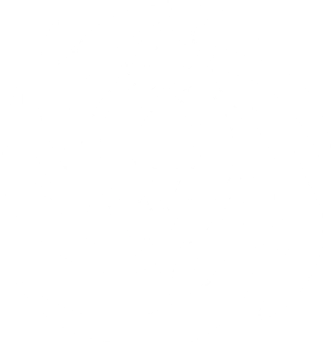 Nihility_Honkai_Star_Rail emote