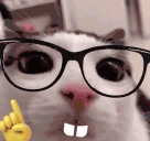 plinkge emoji