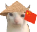 ChinaCat emote