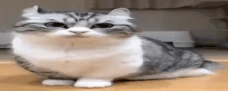 bananchiki emote