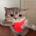 catTime7 emoji