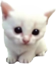 mewpert emote